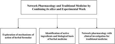 Editorial: Network pharmacology and traditional medicine: Setting the new standards by combining In silico and experimental work